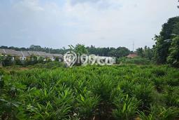 Tanah untuk Dijual Lokasi Cileungsi, Bogor Luas 2450m2 SHM Tanah untuk Dijual Lokasi Cileungsi, Bogor Luas 2450m2 SHM