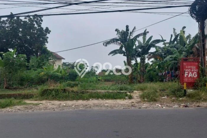 Jarang Ada! Tanah di Pandeglang Punya Luas 2565m2 SHM Jarang Ada! Tanah di Pandeglang Punya Luas 2565m2 SHM