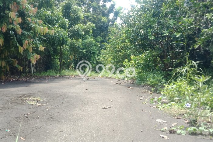 Kavling Tanah Dijual di Ciputat Tangerang Selatan Spesifikasi 14000m2 Kavling Tanah Dijual di Ciputat Tangerang Selatan Spesifikasi 14000m2
