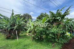 Dijual Tanah di Kalijati Subang Luas 3500m2 - Dijual Tanah di Kalijati Subang Luas 3500m2 -