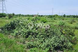 Tanah untuk Dijual di Benowo Surabaya Luas 10178m2 Tanah untuk Dijual di Benowo Surabaya Luas 10178m2