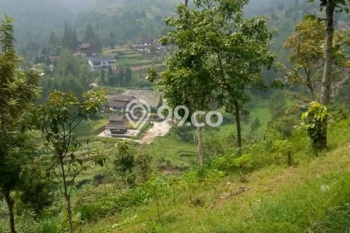 Tanah Kavling untuk Dijual di Ciwidey Bandung 20000m2 Tanah Kavling untuk Dijual di Ciwidey Bandung 20000m2