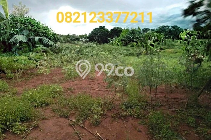Gudang Disewa di Jakarta Utara dengan LB 1800m2 Area Komersial Ramai Gudang Disewa di Jakarta Utara dengan LB 1800m2 Area Komersial Ramai