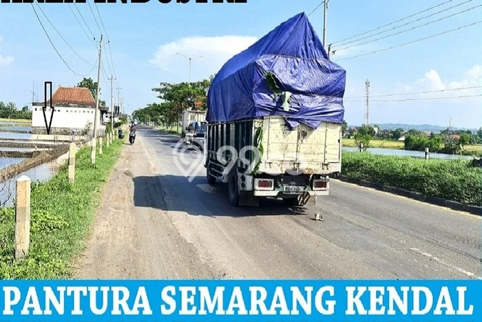 Jarang Ada! Tanah di Kaliwungu Punya Luas 8852m2 - Jarang Ada! Tanah di Kaliwungu Punya Luas 8852m2 -