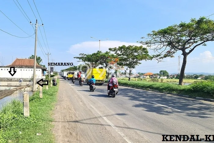 Tanah untuk Dijual Lokasi Kaliwungu, Kendal Luas 8852m2 - Tanah untuk Dijual Lokasi Kaliwungu, Kendal Luas 8852m2 -