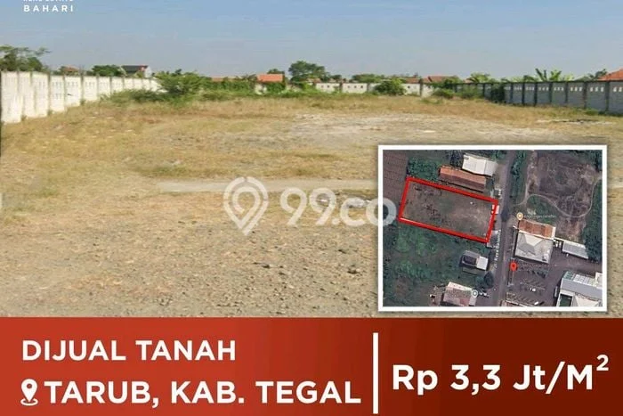 Kavling Tanah Dijual di Tarub Tegal Spesifikasi 2170m2 Kavling Tanah Dijual di Tarub Tegal Spesifikasi 2170m2