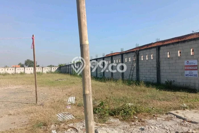 Kavling Tanah Dijual di Tarub Tegal Spesifikasi 2170m2 Kavling Tanah Dijual di Tarub Tegal Spesifikasi 2170m2