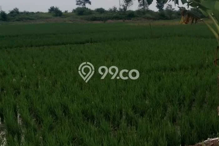 Tanah Strategis Dijual di Jatiwangi Majalengka 80000m2 Tanah Strategis Dijual di Jatiwangi Majalengka 80000m2