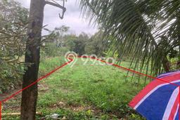 Tanah Kavling untuk Dijual di Ngemplak Sleman 1070m2 Tanah Kavling untuk Dijual di Ngemplak Sleman 1070m2