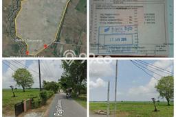 Tanah Dijual Lokasi Sukawangi, Bekasi Luas 1.5e+06m2 Legalitas Aman Tanah Dijual Lokasi Sukawangi, Bekasi Luas 1.5e+06m2 Legalitas Aman