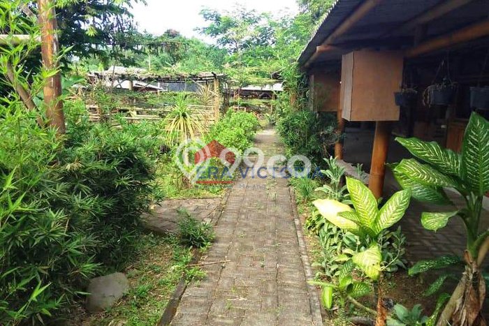 Kavling Tanah di Dau Dijual Luas 3067m2 Legalitas SHM Kavling Tanah di Dau Dijual Luas 3067m2 Legalitas SHM
