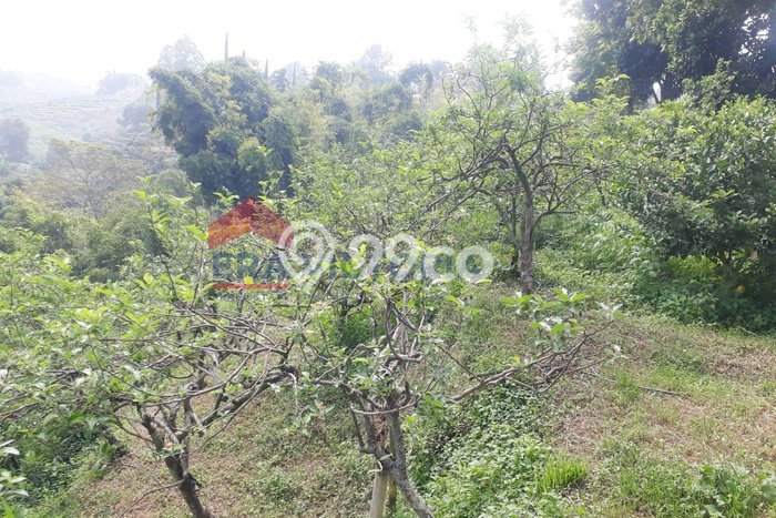 Lahan Strategis di Bumiaji Dijual dengan Luas 7340m2 Lahan Strategis di Bumiaji Dijual dengan Luas 7340m2
