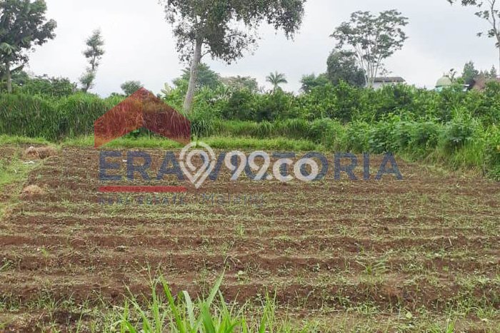 Tanah di Dau, Malang Luas 410m2 Dijual Segera Tanah di Dau, Malang Luas 410m2 Dijual Segera