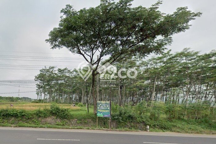 Tanah Kavling di Purwosari Dijual dengan Luas 4165m2 Tanah Kavling di Purwosari Dijual dengan Luas 4165m2