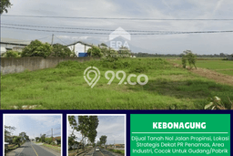 Jarang Ada! Tanah di Pakisaji Punya Luas 5440m2 SHM Jarang Ada! Tanah di Pakisaji Punya Luas 5440m2 SHM