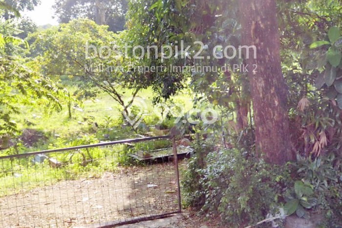 Tanah Kavling di Pesanggrahan Dijual dengan Luas 9000m2 Tanah Kavling di Pesanggrahan Dijual dengan Luas 9000m2