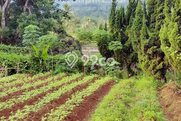 Dijual! Vila Kawasan , Ukuran 2530m2m², Dekat Mudah Pusat Kota Dijual! Vila Kawasan , Ukuran 2530m2m², Dekat Mudah Pusat Kota