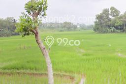Tanah Investasi Dijual di Tangerang Punya Luas 250000m2 Tanah Investasi Dijual di Tangerang Punya Luas 250000m2