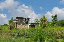 Lahan untuk Dijual Lokasi Ubud, Gianyar Luas 250m2 SHM Lahan untuk Dijual Lokasi Ubud, Gianyar Luas 250m2 SHM