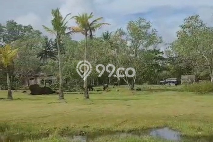 Tanah Kavling Dijual di Pandeglang dengan Spesifikasi 41666m2 Tanah Kavling Dijual di Pandeglang dengan Spesifikasi 41666m2
