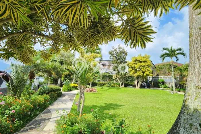 Vila Potensial di Cipanas, Luas 1280m2m², Akses ke Cipanas, Cianjur, Cianjur Vila Potensial di Cipanas, Luas 1280m2m², Akses ke Cipanas, Cianjur, Cianjur