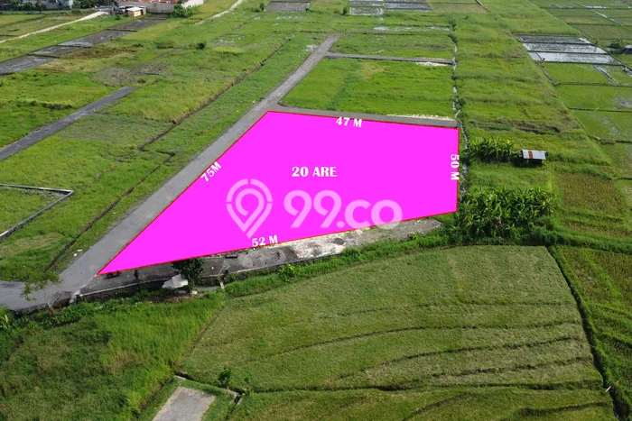 Tanah Strategis di Kedungu, Luas 2000m2m², Akses Kedungu, Tabanan, Tabanan Tanah Strategis di Kedungu, Luas 2000m2m², Akses Kedungu, Tabanan, Tabanan
