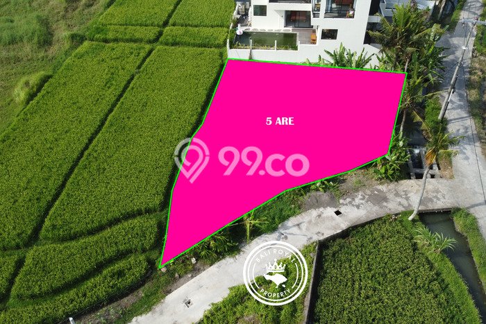 Tanah Strategis di Kedungu, Luas 500m², Akses Kedungu, Tabanan, Tabanan Tanah Strategis di Kedungu, Luas 500m², Akses Kedungu, Tabanan, Tabanan