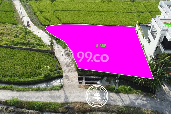 Tanah Strategis di Kedungu, Luas 500m², Akses Kedungu, Tabanan, Tabanan Tanah Strategis di Kedungu, Luas 500m², Akses Kedungu, Tabanan, Tabanan