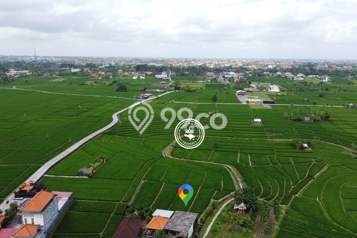Sewa Tanah Kawasan Tanah Lot, Luas 1000m², Lokasi Strategis Sewa Tanah Kawasan Tanah Lot, Luas 1000m², Lokasi Strategis