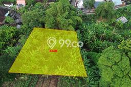 Tanah Kavling Dijual di Tanah Lot, Tabanan dengan Luas Tanah 850m2 Tanah Kavling Dijual di Tanah Lot, Tabanan dengan Luas Tanah 850m2