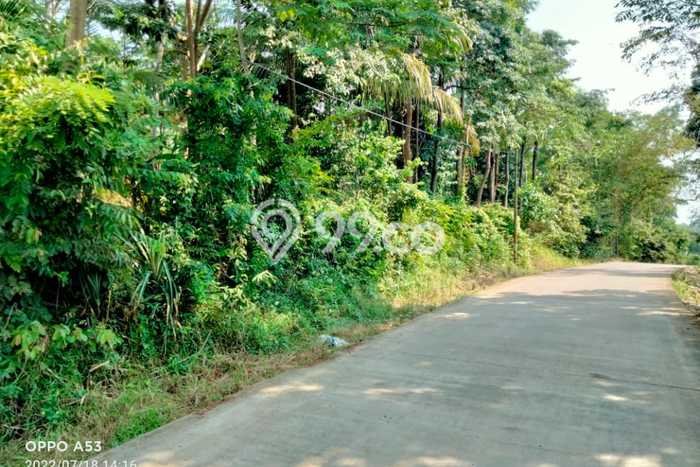 Kavling Tanah Dijual di Carita, Pandeglang, Luas 30000m2 Area Strategis Kavling Tanah Dijual di Carita, Pandeglang, Luas 30000m2 Area Strategis