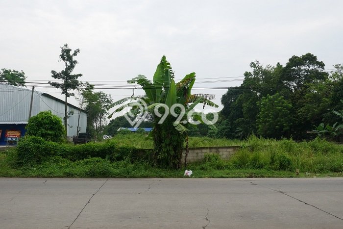 Lahan Dijual Lokasi Tigaraksa, Tangerang dengan Luas Tanah 6715m2 dan Status SHM Lahan Dijual Lokasi Tigaraksa, Tangerang dengan Luas Tanah 6715m2 dan Status SHM