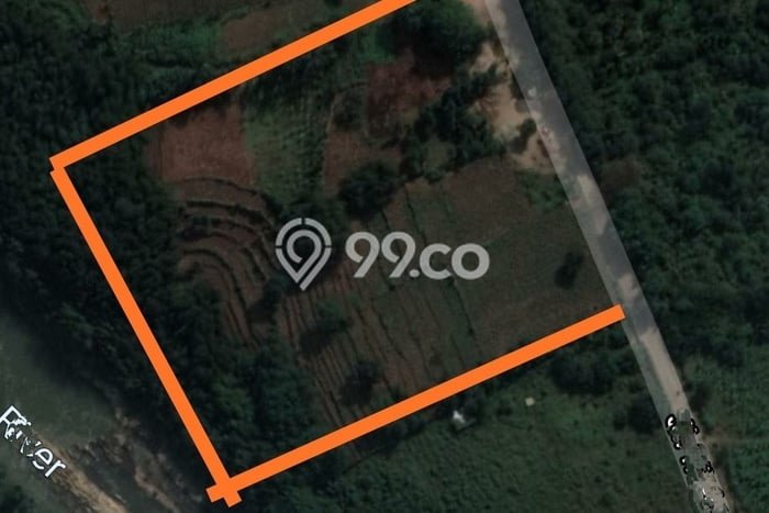 Tanah Dijual Lokasi Ranca Bungur, Bogor Luas 9500m2 Legalitas Aman Tanah Dijual Lokasi Ranca Bungur, Bogor Luas 9500m2 Legalitas Aman
