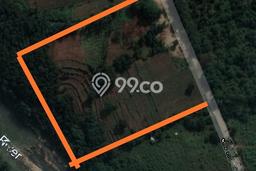 Tanah Dijual Lokasi Ranca Bungur, Bogor Luas 9500m2 Legalitas Aman Tanah Dijual Lokasi Ranca Bungur, Bogor Luas 9500m2 Legalitas Aman