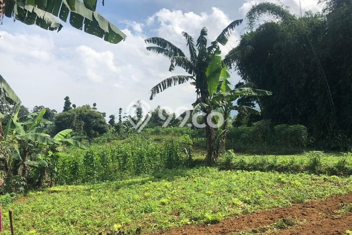 Kavling Tanah Dijual di Parongpong Bandung Barat Spesifikasi 22175m2 Kavling Tanah Dijual di Parongpong Bandung Barat Spesifikasi 22175m2