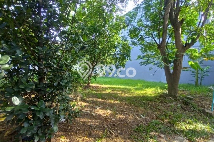 Tanah Dijual Area Strategis di Pantai Indah Kapuk Jakarta Utara 555m2 Tanah Dijual Area Strategis di Pantai Indah Kapuk Jakarta Utara 555m2