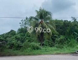 Tanah di Jambi Luar Kota, Muaro Jambi Luas 2040m2 Dijual Segera Tanah di Jambi Luar Kota, Muaro Jambi Luas 2040m2 Dijual Segera