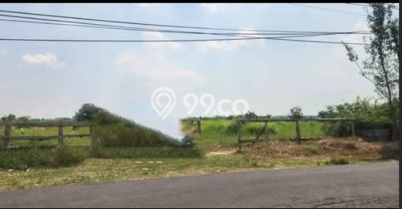 Jarang Ada! Tanah di Kebomas Punya Luas 10000m2 SHM Jarang Ada! Tanah di Kebomas Punya Luas 10000m2 SHM