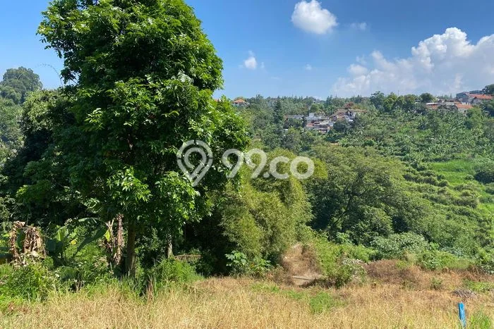 Tanah Kavling Dijual di ciumbuleuit, Bandung dengan Luas Tanah 3145m2 Tanah Kavling Dijual di ciumbuleuit, Bandung dengan Luas Tanah 3145m2