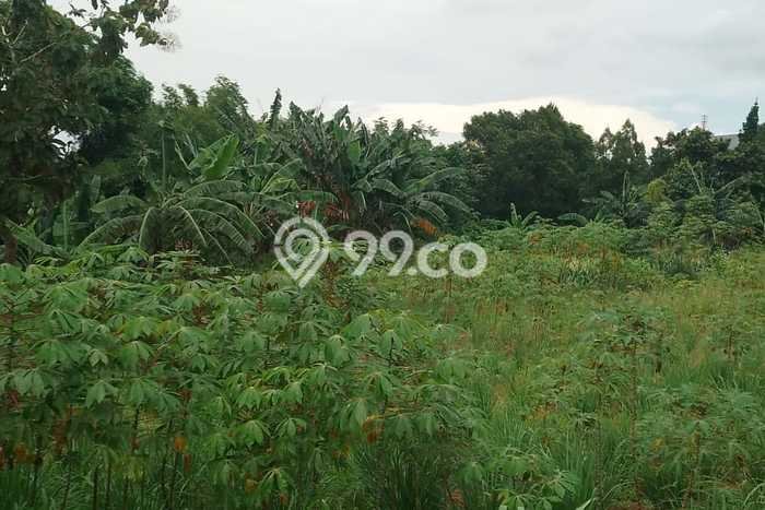 Tanah Lokasi Strategis di Bogor Selatan, Luas 2787m², Dekat ke Fasilitas Umum, Dekat Bogor Selatan, Bogor, Bogor Tanah Lokasi Strategis di Bogor Selatan, Luas 2787m², Dekat ke Fasilitas Umum, Dekat Bogor Selatan, Bogor, Bogor
