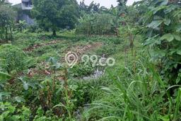 Jarang Ada! Tanah di Pondok Aren Punya Luas 1000m2 SHM Jarang Ada! Tanah di Pondok Aren Punya Luas 1000m2 SHM