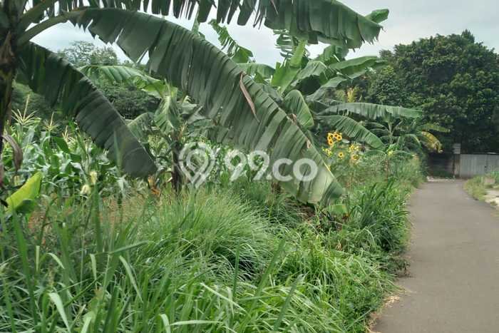 Tanah Lokasi Strategis di Bogor Selatan, Luas 2787m², Dekat ke Fasilitas Umum, Dekat Bogor Selatan, Bogor, Bogor Tanah Lokasi Strategis di Bogor Selatan, Luas 2787m², Dekat ke Fasilitas Umum, Dekat Bogor Selatan, Bogor, Bogor