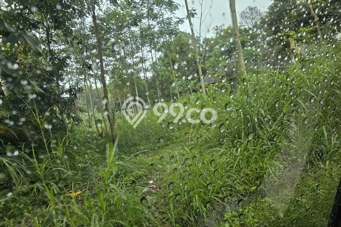 Kavling Tanah di Argomulyo Dijual Luas 1100m2 Legalitas SHM Kavling Tanah di Argomulyo Dijual Luas 1100m2 Legalitas SHM