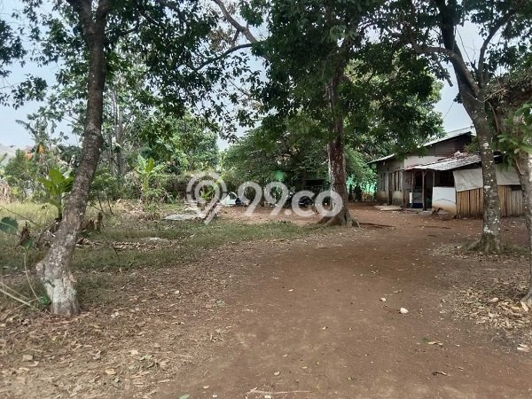 Kavling Tanah Dijual di Bojong Gede Bogor Spesifikasi 1891m2 Kavling Tanah Dijual di Bojong Gede Bogor Spesifikasi 1891m2