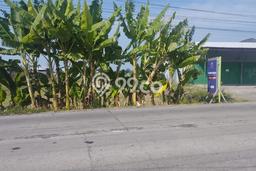 Tanah di Kartosuro, Solo Luas 4193m2 Dijual Segera Tanah di Kartosuro, Solo Luas 4193m2 Dijual Segera