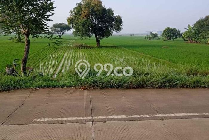 Kavling Tanah Dijual di Kertajati Majalengka Spesifikasi 30500m2 Kavling Tanah Dijual di Kertajati Majalengka Spesifikasi 30500m2