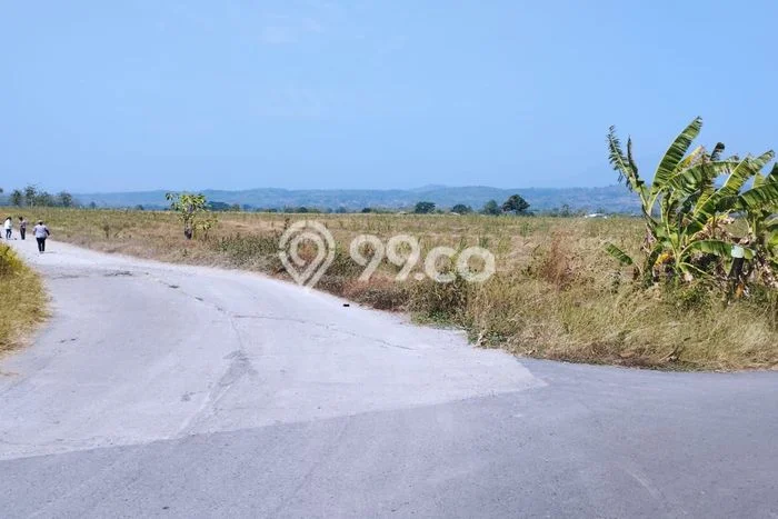 Tanah Kavling untuk Dijual di Kertajati Majalengka 50000m2 Tanah Kavling untuk Dijual di Kertajati Majalengka 50000m2