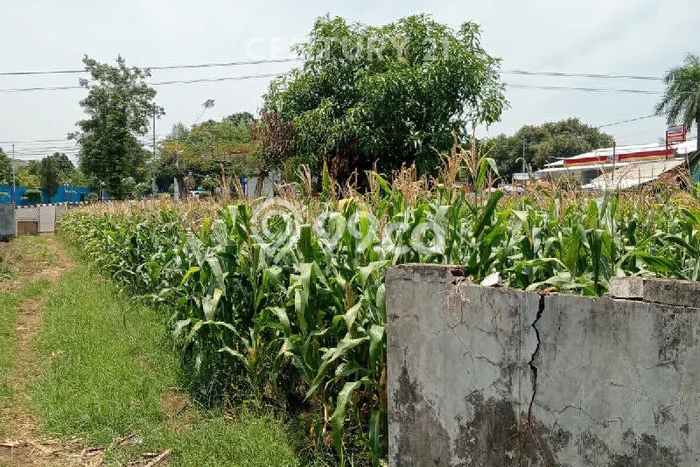 Untuk Dijual Tanah di Majalengka, Luas 7398m2 SHM Untuk Dijual Tanah di Majalengka, Luas 7398m2 SHM