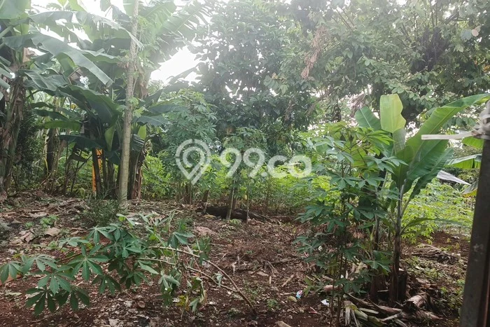 Dijual Tanah di Pancoran Mas Depok Luas 2500m2 SHM Dijual Tanah di Pancoran Mas Depok Luas 2500m2 SHM
