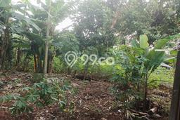 Dijual Tanah di Pancoran Mas Depok Luas 2500m2 SHM Dijual Tanah di Pancoran Mas Depok Luas 2500m2 SHM